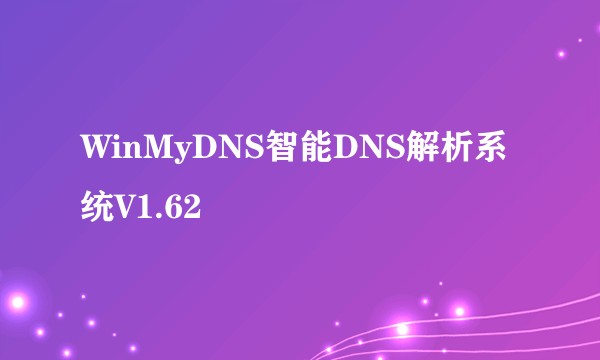 WinMyDNS智能DNS解析系统V1.62