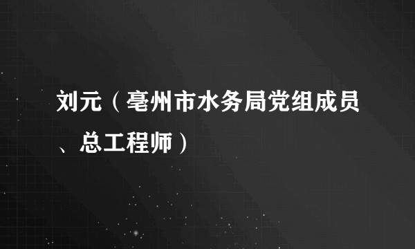 刘元（亳州市水务局党组成员、总工程师）