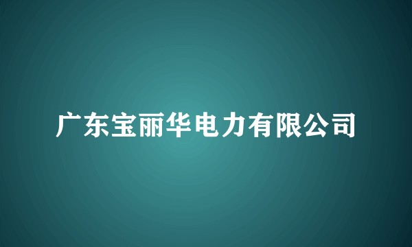 广东宝丽华电力有限公司