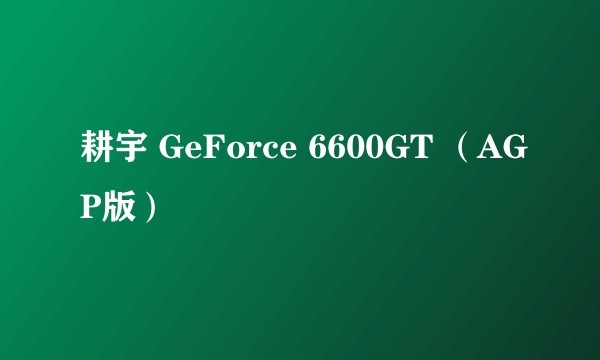 耕宇 GeForce 6600GT （AGP版）