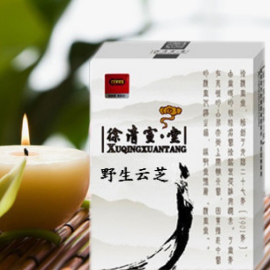 云芝(多孔菌科栓菌属干燥子实体)