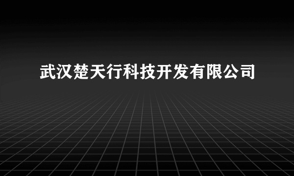 武汉楚天行科技开发有限公司