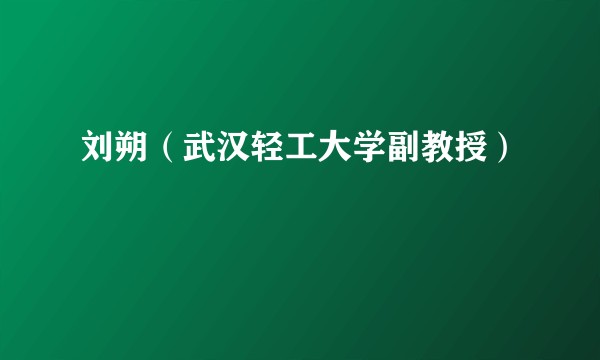 刘朔(武汉轻工大学副教授)