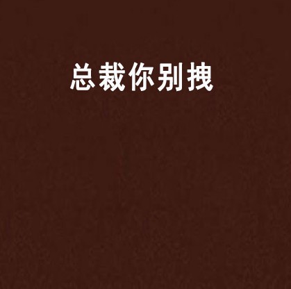 总裁你别拽