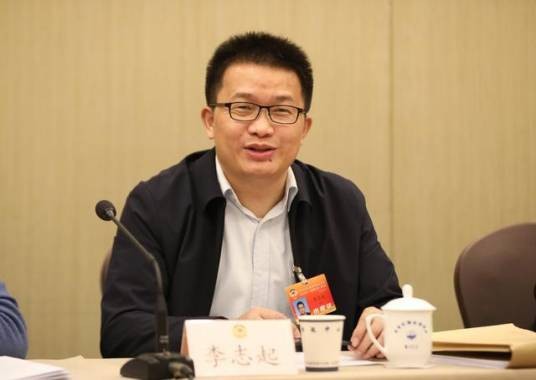 李志起(北京市工商联兼职副主席、振兴国际智库理事长)