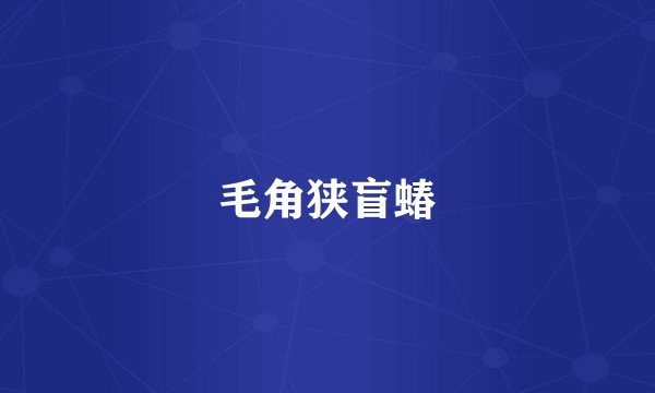 毛角狭盲蝽