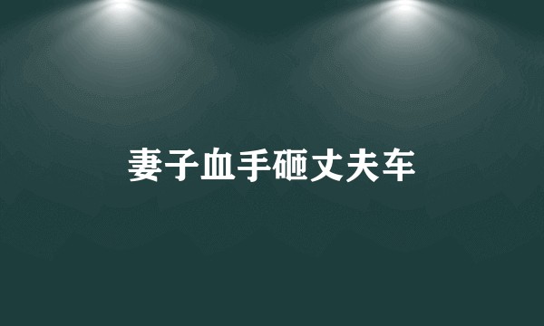 妻子血手砸丈夫车