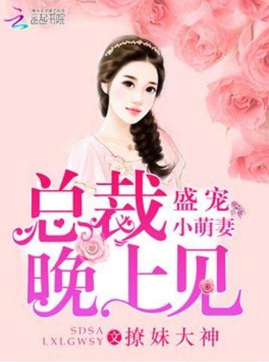 盛宠小萌妻：总裁，晚上见
