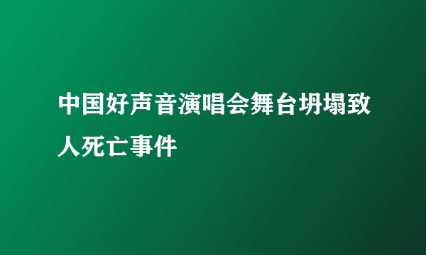 中国好声音演唱会舞台坍塌致人死亡事件