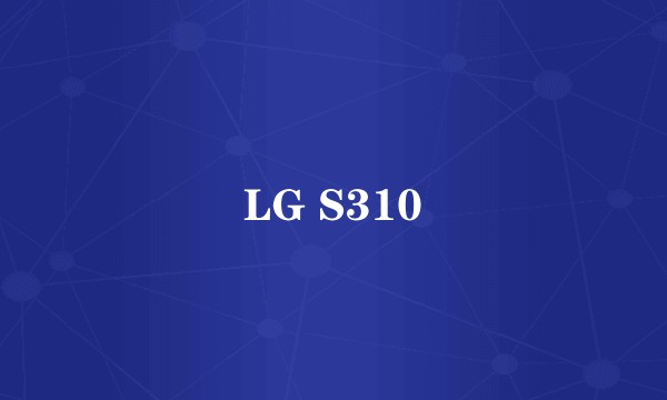 LG S310