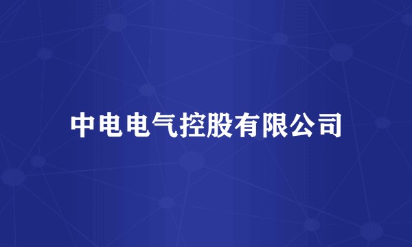 中电电气控股有限公司