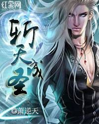 纵横穹苍:斩天成圣