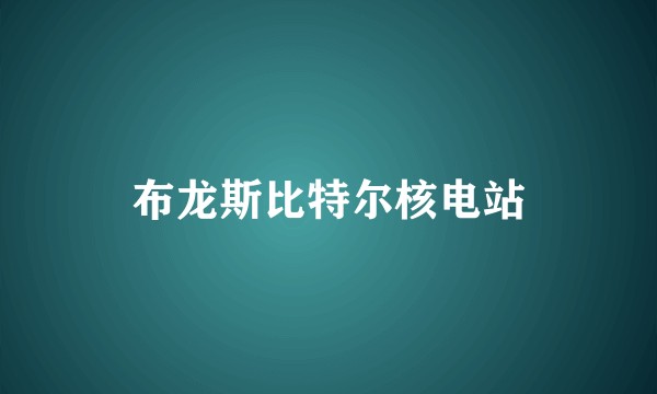 布龙斯比特尔核电站