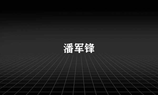 潘军锋