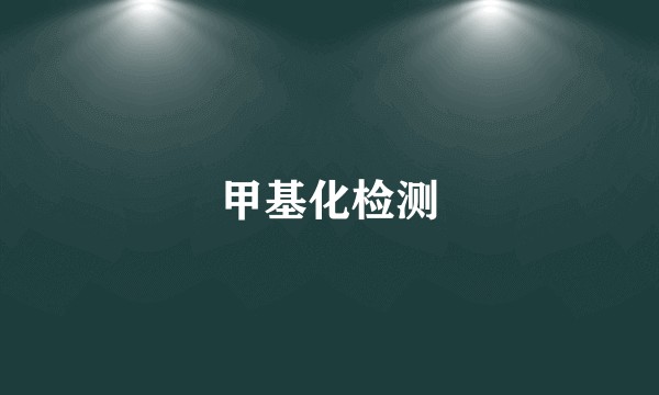 甲基化检测