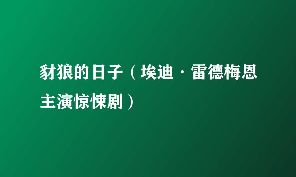 豺狼的日子（埃迪·雷德梅恩主演惊悚剧）