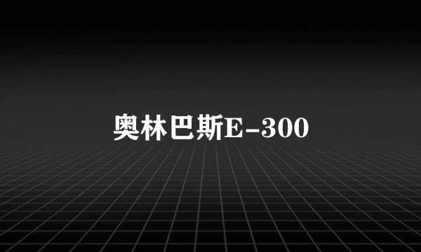 奥林巴斯E-300