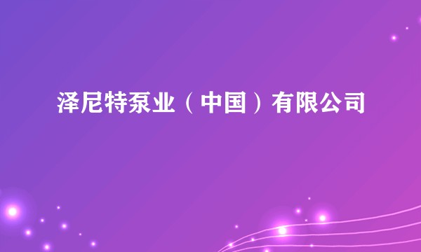 泽尼特泵业（中国）有限公司