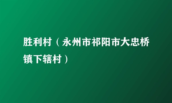 胜利村(永州市祁阳市大忠桥镇下辖村)