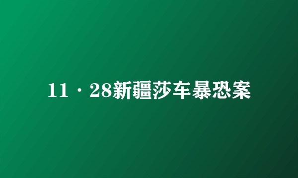 11·28新疆莎车暴恐案