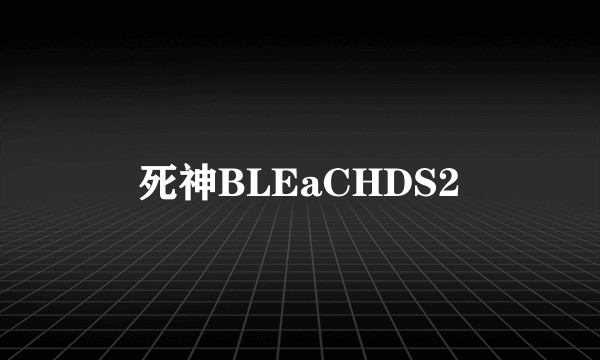 死神BLEaCHDS2