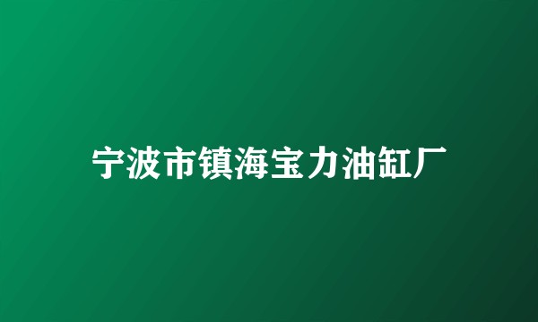 宁波市镇海宝力油缸厂