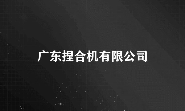 广东捏合机有限公司
