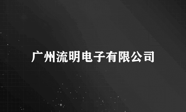 广州流明电子有限公司
