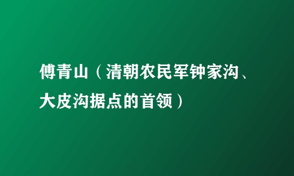 傅青山（清朝农民军钟家沟、大皮沟据点的首领）