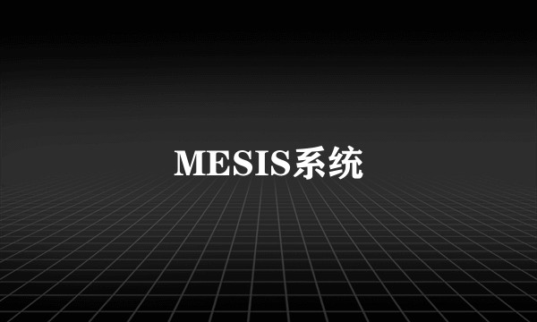 MESIS系统
