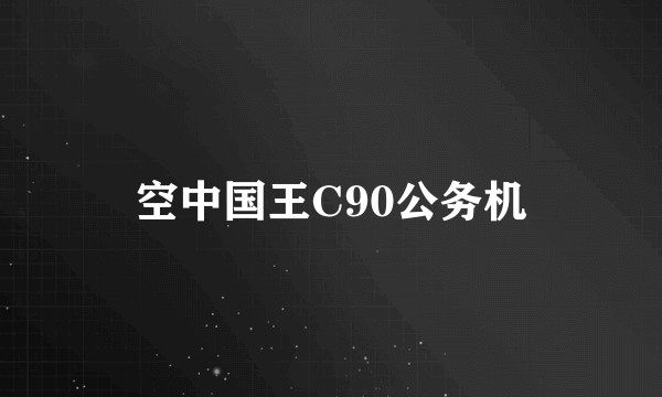 空中国王C90公务机