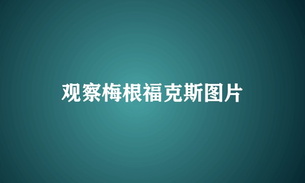 观察梅根福克斯图片