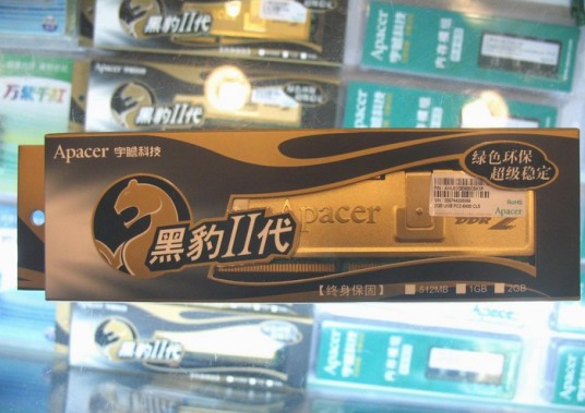宇瞻2G DDR2 800(黑豹II)