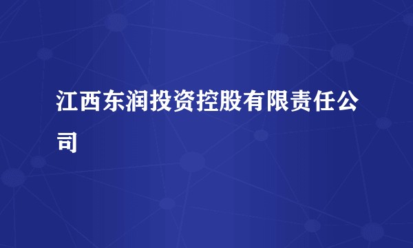 江西东润投资控股有限责任公司