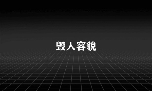 毁人容貌