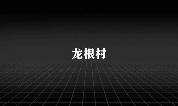龙根村
