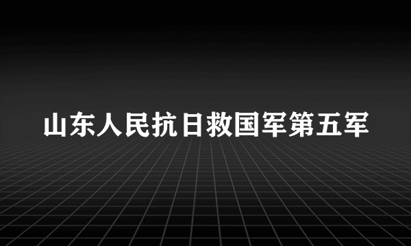 山东人民抗日救国军第五军
