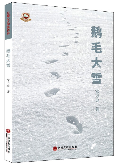 鹅毛大雪（2017年中国文联出版社出版的图书）