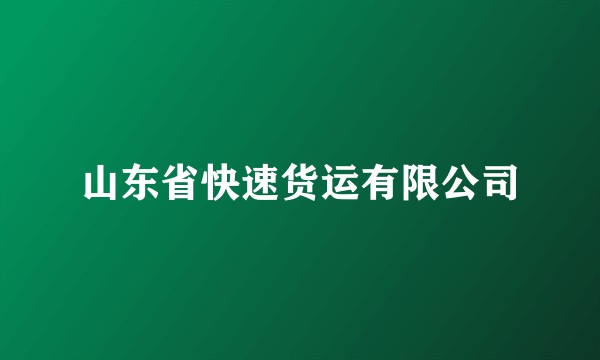 山东省快速货运有限公司