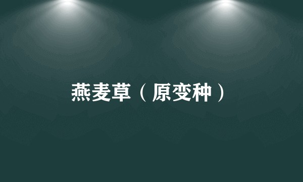 燕麦草(原变种)