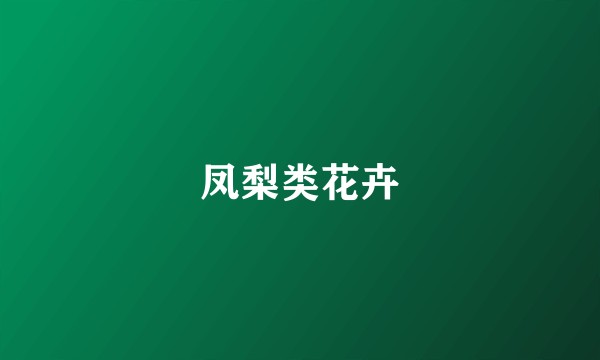 凤梨类花卉