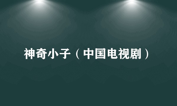 神奇小子(中国电视剧)