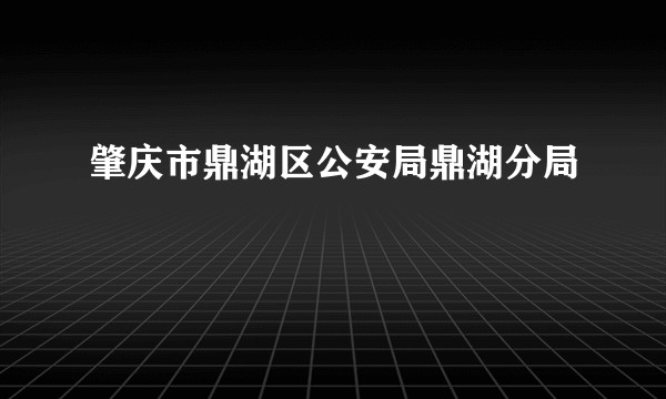 肇庆市鼎湖区公安局鼎湖分局