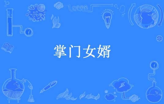 掌门女婿（江南土豆所著小说）