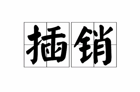 插销（插头与插座相接触的零件）