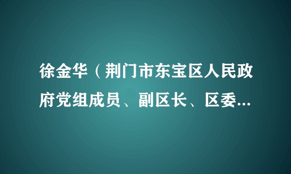 徐金华（荆门市东宝区人民政府党组成员、副区长、区委政法委第一副书记、市公安局东宝分局党委书记、局长）