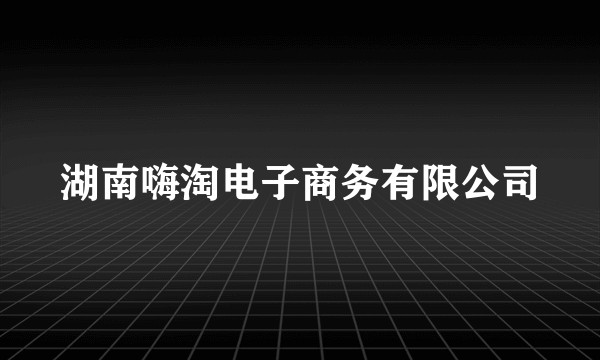 湖南嗨淘电子商务有限公司