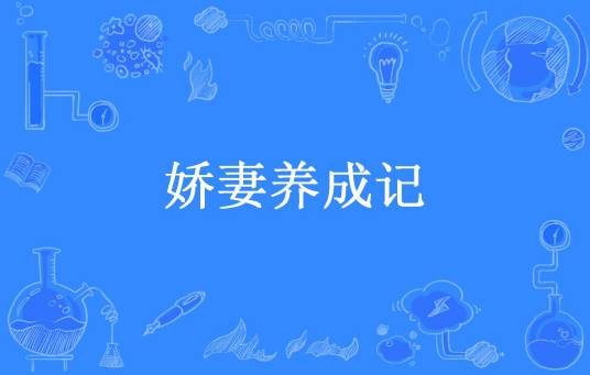 娇妻养成记（花非花所著小说）