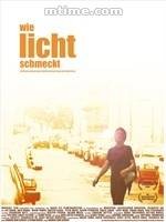 阳光的味道（2006年莫卢斯·冯·辛特执导电影）