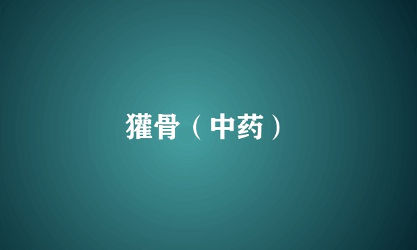 獾骨（中药）